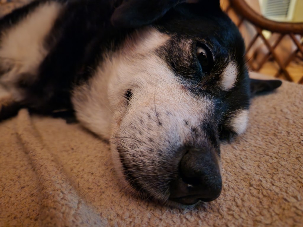 December 21, 2022 – at&nbsp;home