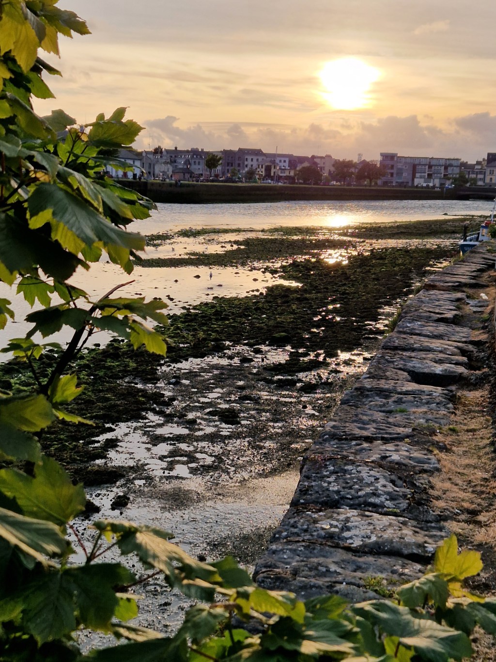 May 17, 2023 – Galway, Ireland